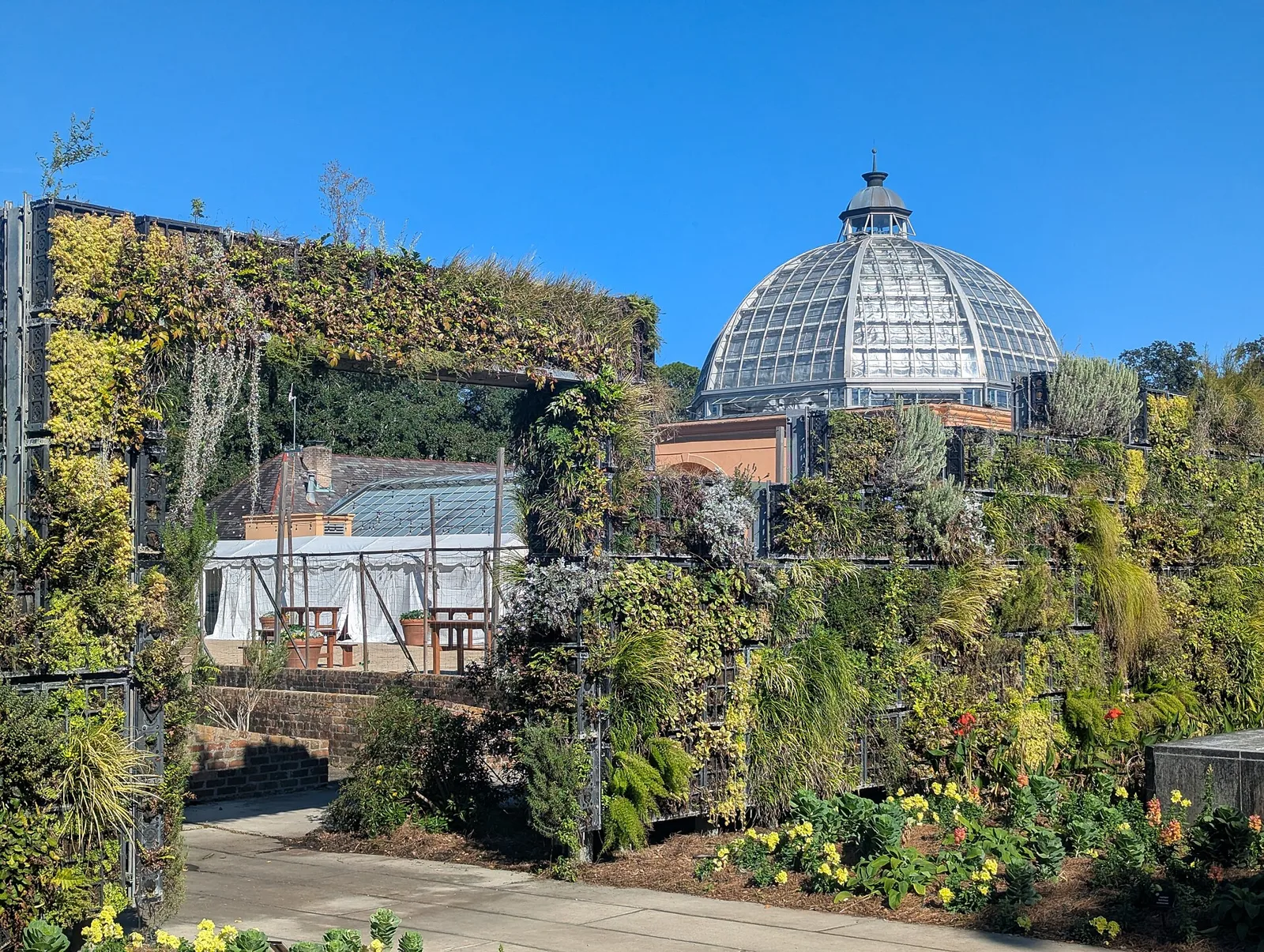 A vine-covered pergola framing the glass dome of the conservatory, with plantings below and a blue sky