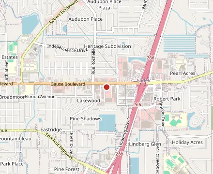 Map showing Golden Dragon Buffet II • Chinese